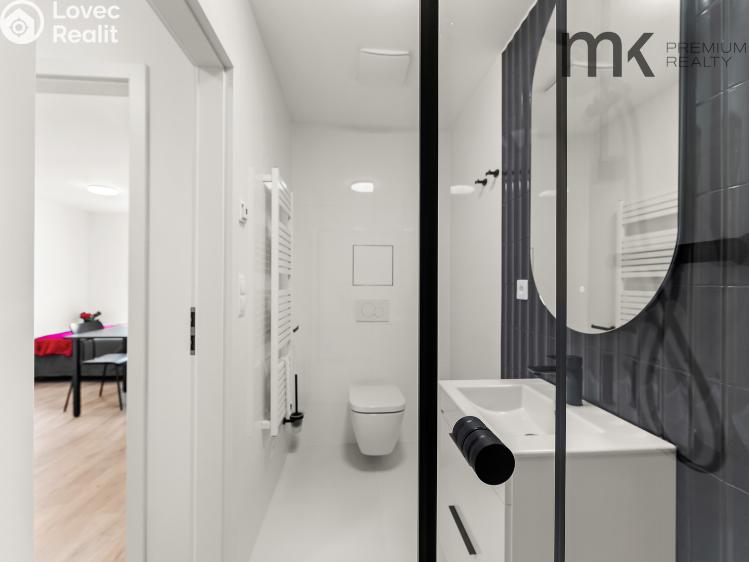 Rent apartment 1+KK Praha, Na bitevní pláni 1185/40 č. 9