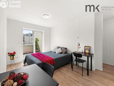 Rent apartment 1+KK Praha, Na bitevní pláni č. 1