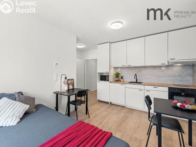 Rent apartment 1+KK Praha, Na bitevní pláni č. 2