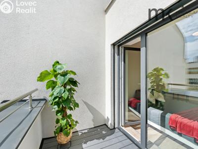 Rent apartment 1+KK Praha, Na bitevní pláni č. 5