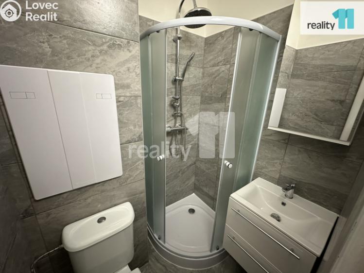 Pronájem bytu 1+KK Česká Lípa, Kozákova č. 3