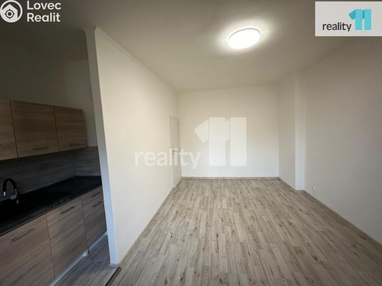 Pronájem bytu 1+KK Česká Lípa, Kozákova č. 4