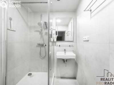 Sale apartment 4+KK Praha, Stříbrského č. 3