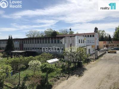 Rent office space Česká Lípa, Pivovarská č. 6
