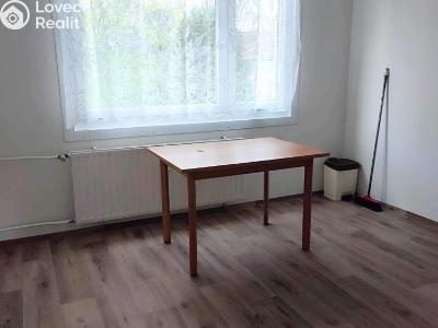 Rent apartment 1+1 Hartmanice č. 2