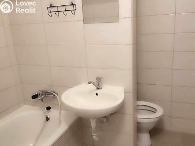 Rent apartment 1+1 Hartmanice č. 3