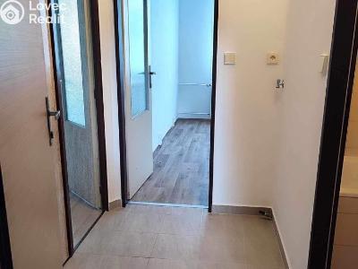 Rent apartment 1+1 Hartmanice č. 4