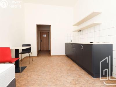 Pronájem bytu 1+KK Praha, Křížová č. 1