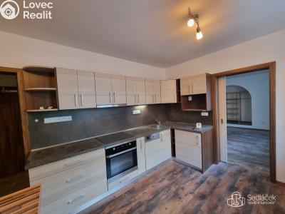 Rent apartment 1+1 Sokolov, Smetanova č. 1