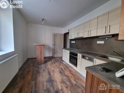 Rent apartment 1+1 Sokolov, Smetanova č. 2