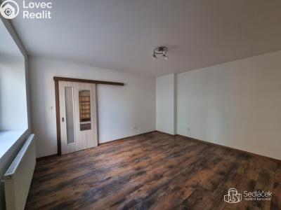 Rent apartment 1+1 Sokolov, Smetanova č. 5