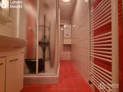 Rent apartment 1+1 Sokolov, Smetanova č. 6