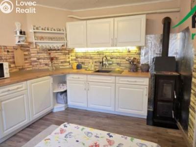 Продаж сімейного будинку Jemnice, Hlinné č. 1