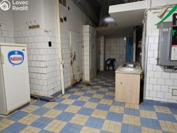 Pronájem rodinného domu Tachov, Bělojarská č. 4