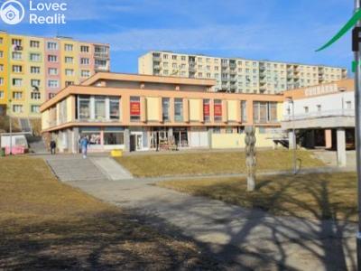 Rent family house Tachov, Bělojarská č. 1
