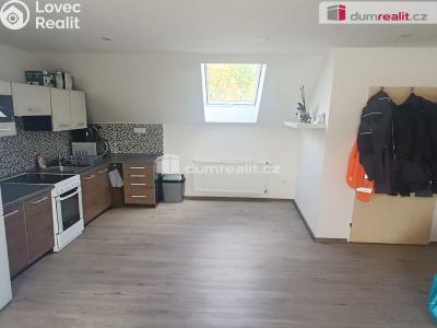 Pronájem bytu 1+1 Veselé č. 1