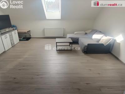 Pronájem bytu 1+1 Veselé č. 2