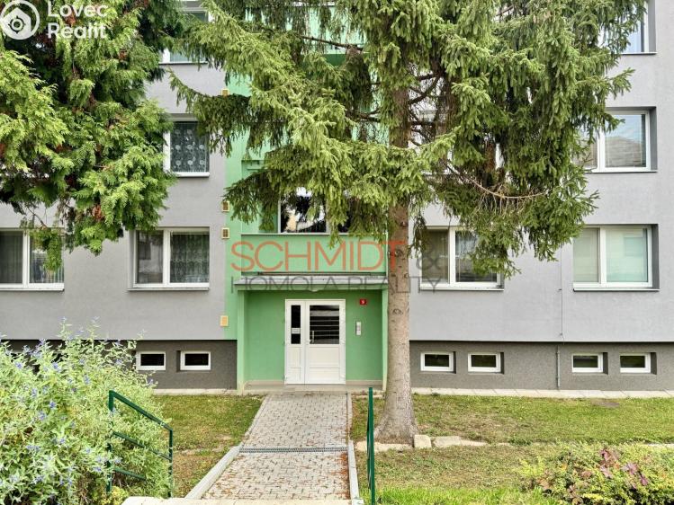 Pronájem bytu 1+1 Hustopeče, Školní 956/9 č. 10
