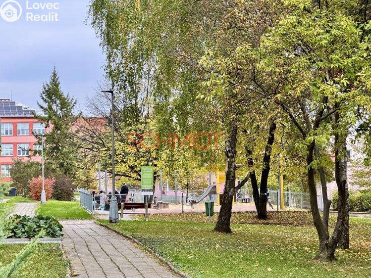 Pronájem bytu 1+1 Hustopeče, Školní 956/9 č. 12