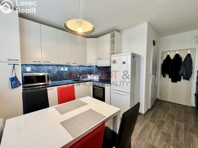 Rent apartment 1+1 Hustopeče, Školní č. 1