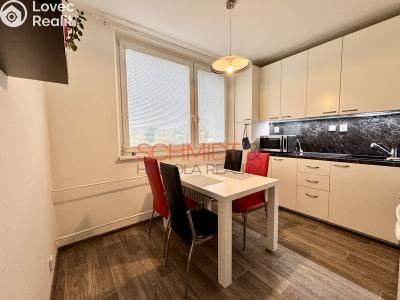 Rent apartment 1+1 Hustopeče, Školní č. 2
