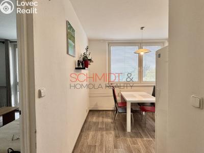Rent apartment 1+1 Hustopeče, Školní č. 4