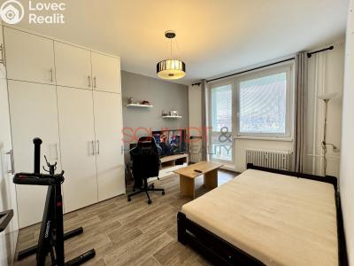 Rent apartment 1+1 Hustopeče, Školní č. 5