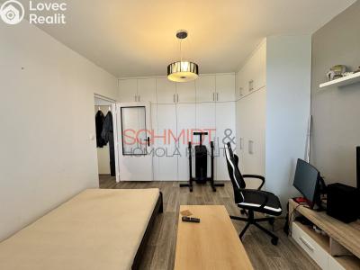 Rent apartment 1+1 Hustopeče, Školní č. 6