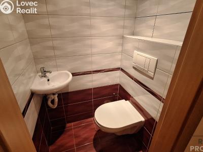 Pronájem bytu 2+1 Děčín, Teplická č. 5
