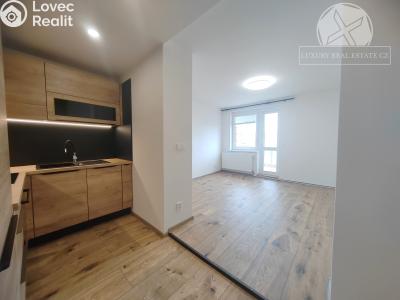 Rent apartment 2+1 Praha, Podolská č. 6