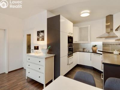 Rent apartment 2+KK Praha, Biskupcova č. 1