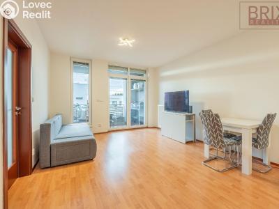 Rent apartment 2+KK Praha, Karla Kryla č. 1