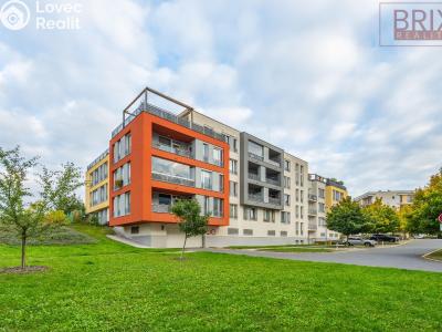 Rent apartment 2+KK Praha, Karla Kryla č. 2