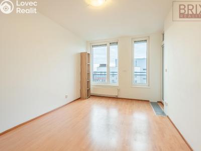 Rent apartment 2+KK Praha, Karla Kryla č. 3
