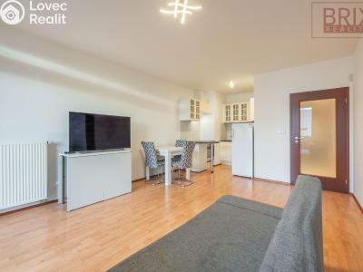 Rent apartment 2+KK Praha, Karla Kryla č. 4
