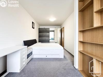 Rent apartment 2+KK Praha, Olgy Havlové č. 2