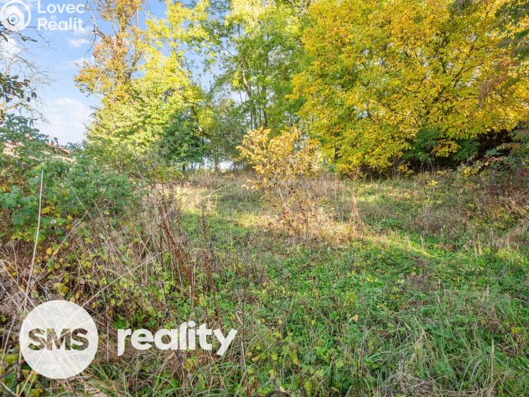 Prodej chalupy Ústup č. 16