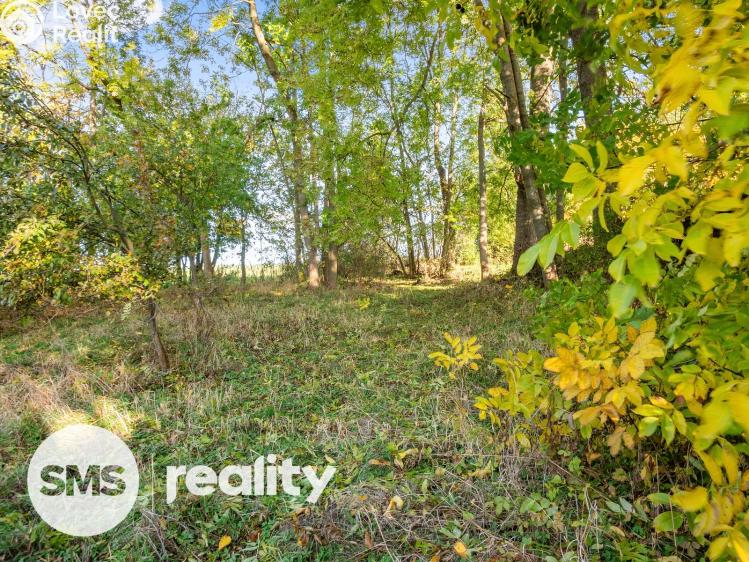 Prodej chalupy Ústup č. 3