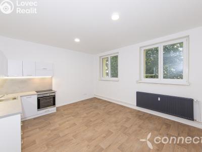 Sale apartment 1+KK Přerov, Husova č. 6