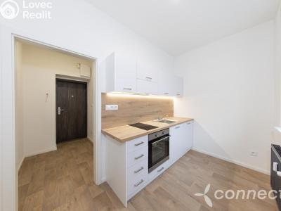 Sale apartment 1+1 Přerov, Husova č. 1