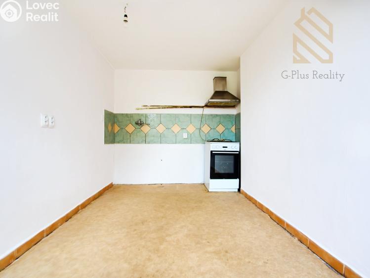 Prodej rodinného domu Kostelec nad Labem, Bažantnická č. 10