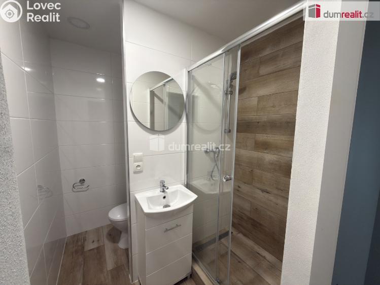 Pronájem bytu 2+KK Ústí nad Labem, Brandtova č. 9