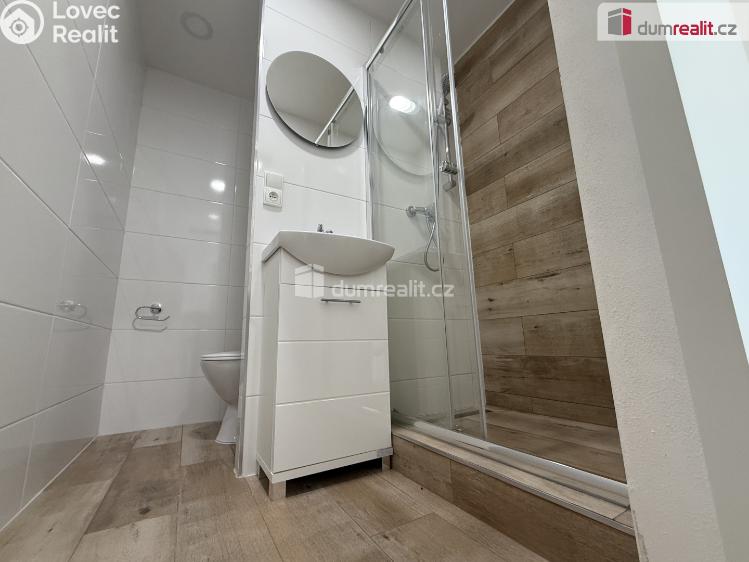 Pronájem bytu 2+KK Ústí nad Labem, Brandtova č. 23