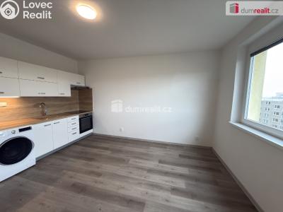 Pronájem bytu 2+KK Ústí nad Labem, Brandtova č. 1