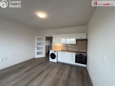 Pronájem bytu 2+KK Ústí nad Labem, Brandtova č. 3