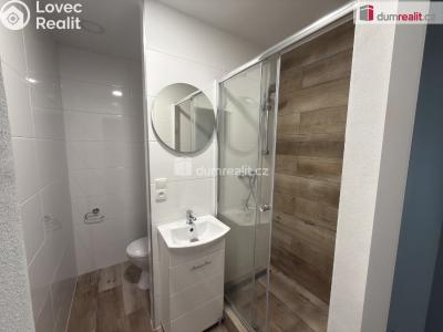 Rent apartment 2+KK Ústí nad Labem, Brandtova č. 13
