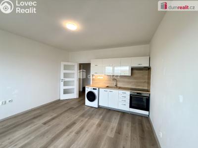 Rent apartment 2+KK Ústí nad Labem, Brandtova č. 24