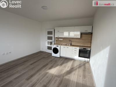 Rent apartment 2+KK Ústí nad Labem, Brandtova č. 25
