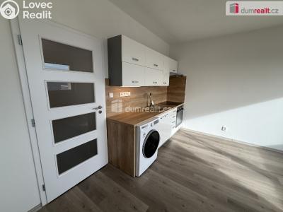 Rent apartment 2+KK Ústí nad Labem, Brandtova č. 10