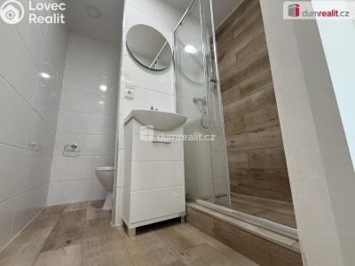Rent apartment 2+KK Ústí nad Labem, Brandtova č. 23